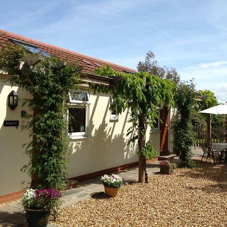 ويلْزْ Ashford House B&B المظهر الخارجي الصورة