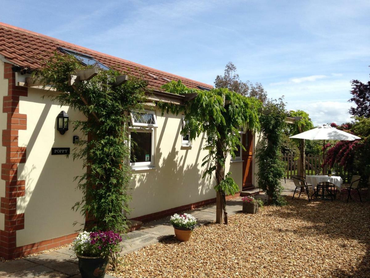 ويلْزْ Ashford House B&B المظهر الخارجي الصورة